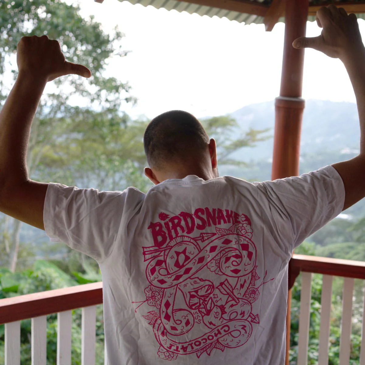 Colombia, Finca Alcatraz, Wilfredo Ule Vargas, Caturra - Image 3