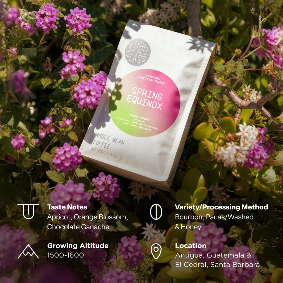 Full Bloom Mother's Day Gift Set - Image 8