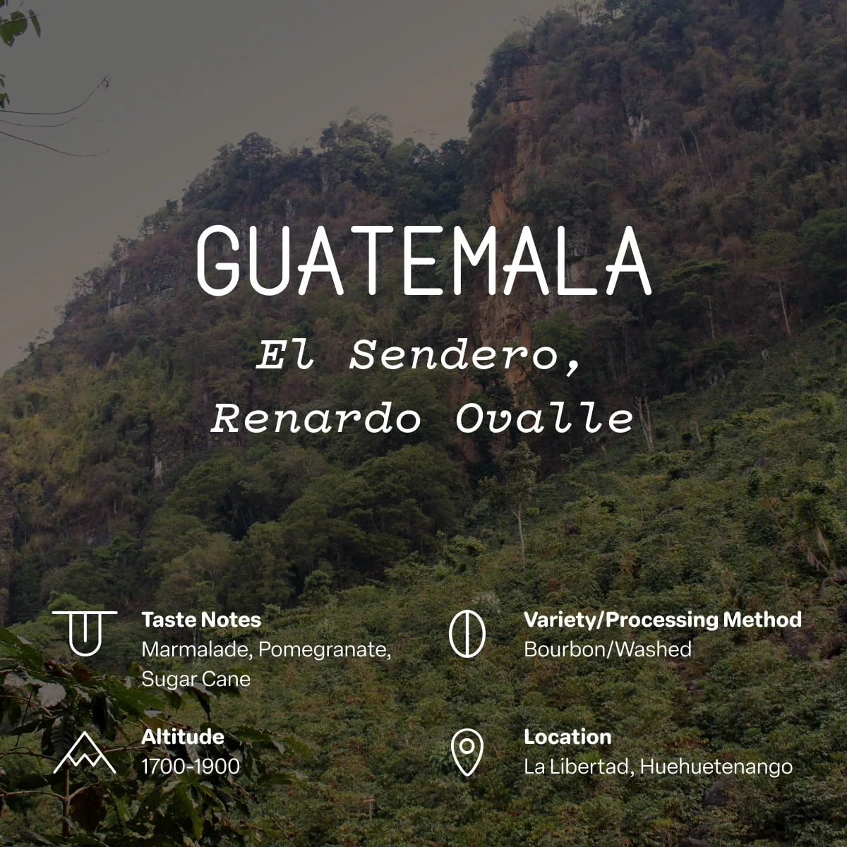 Guatemala, El Sendero, Renardo Ovalle - Image 2