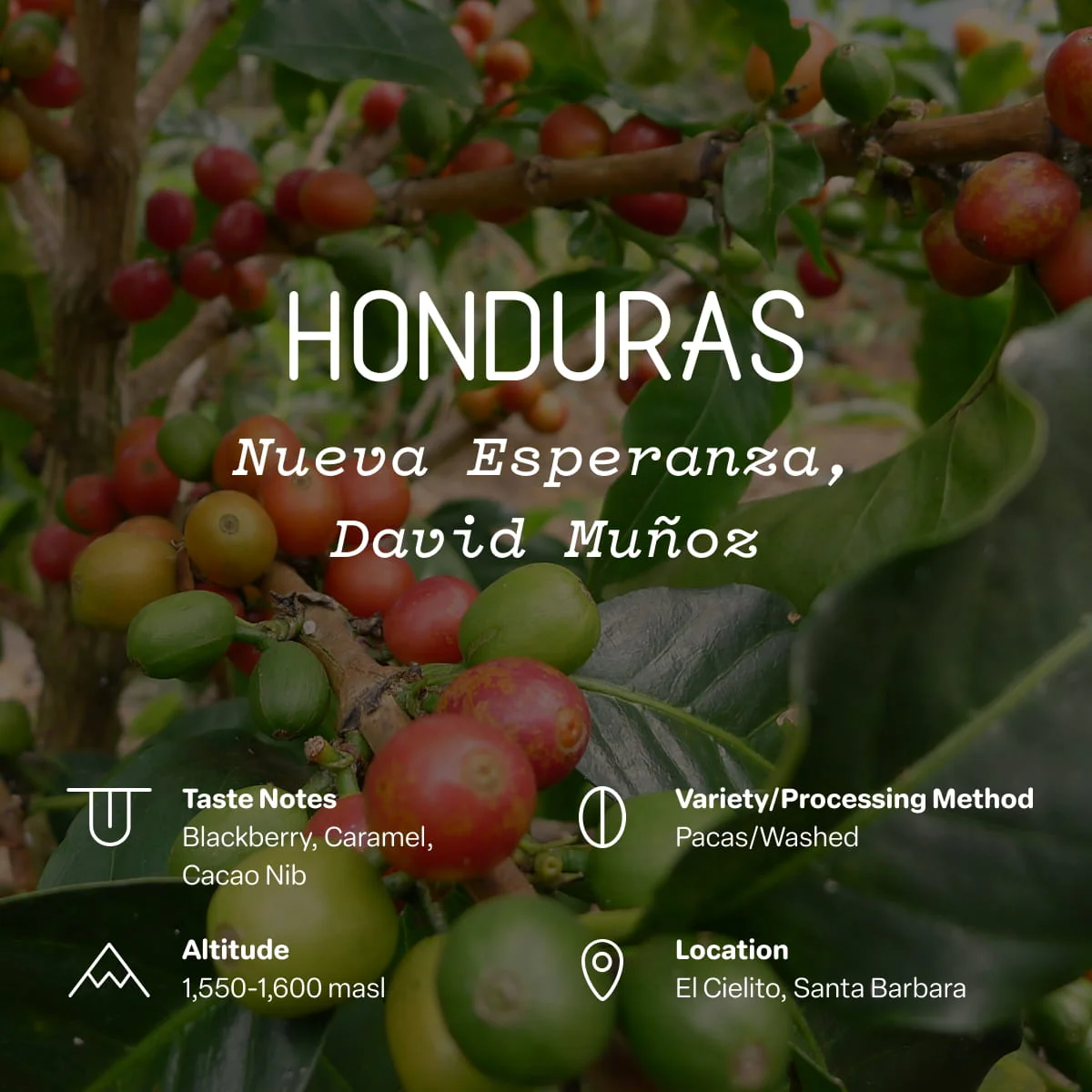 Honduras, Nueva Esperanza, David Muñoz - Image 2