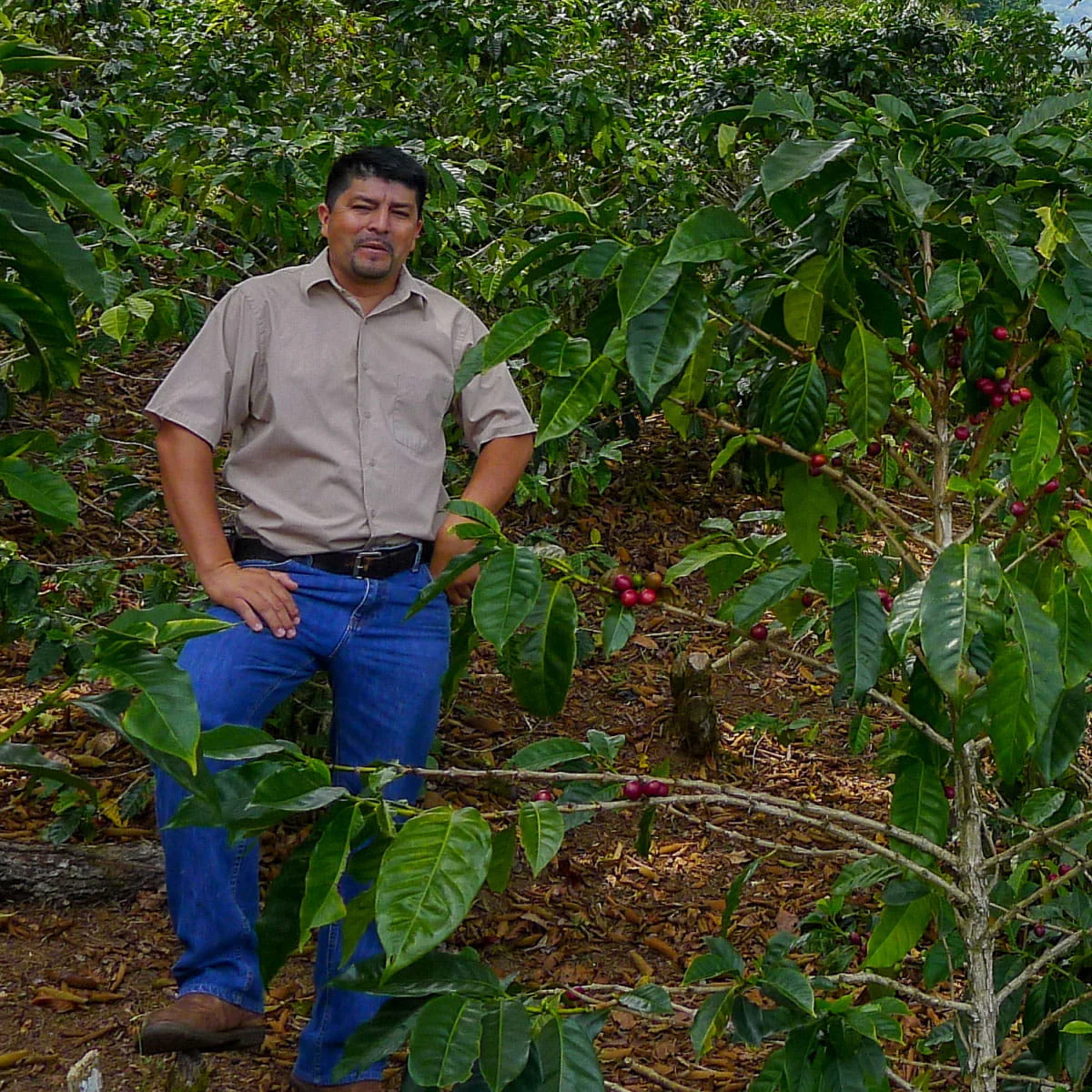 Honduras, Nueva Esperanza, David Muñoz - Image 3