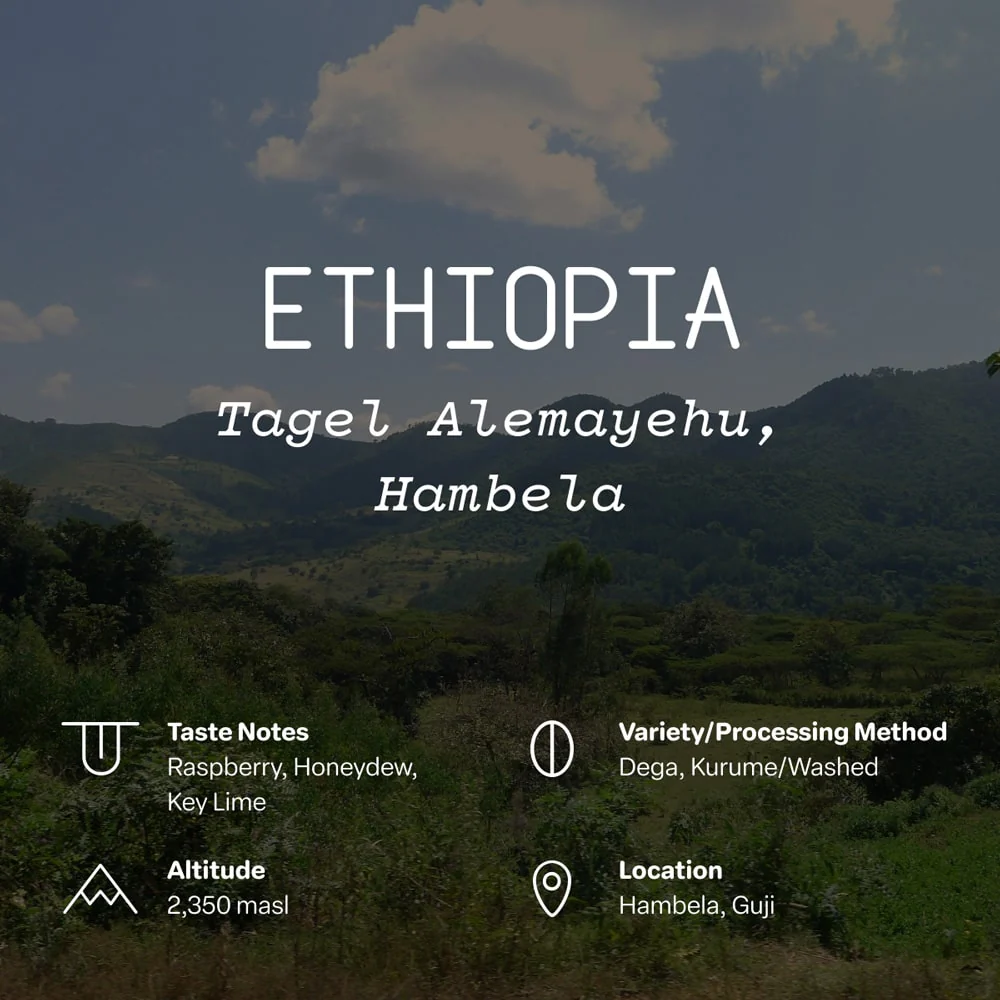 Ethiopia, Tagel Alemayehu, Hambela - Image 2