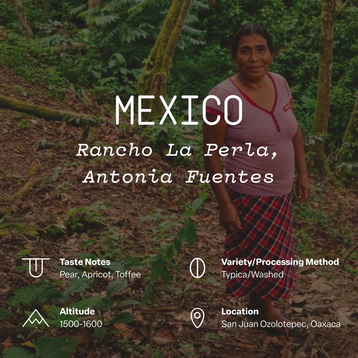 Mexico, Rancho La Perla, Antonia Fuentes - Image 2